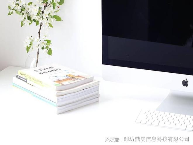 工业品网站建设网站开发设计方案